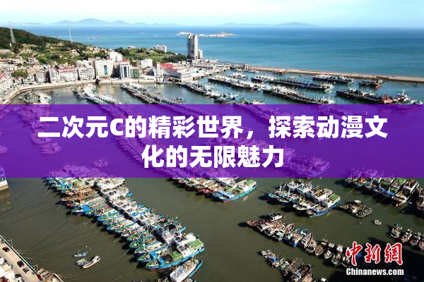 二次元C的精彩世界，探索动漫文化的无限魅力