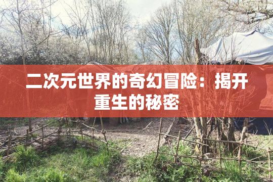 二次元世界的奇幻冒险：揭开重生的秘密