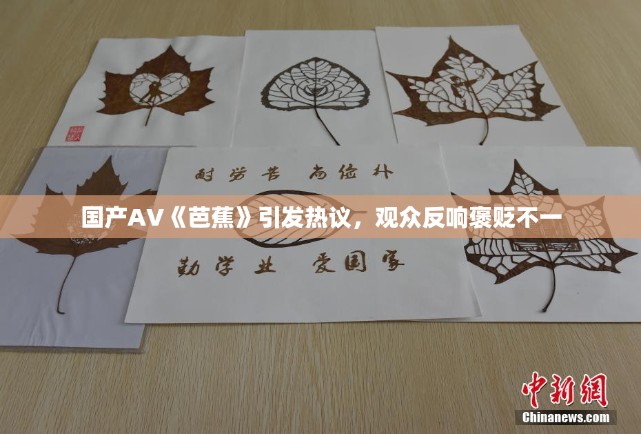 国产AV《芭蕉》引发热议，观众反响褒贬不一