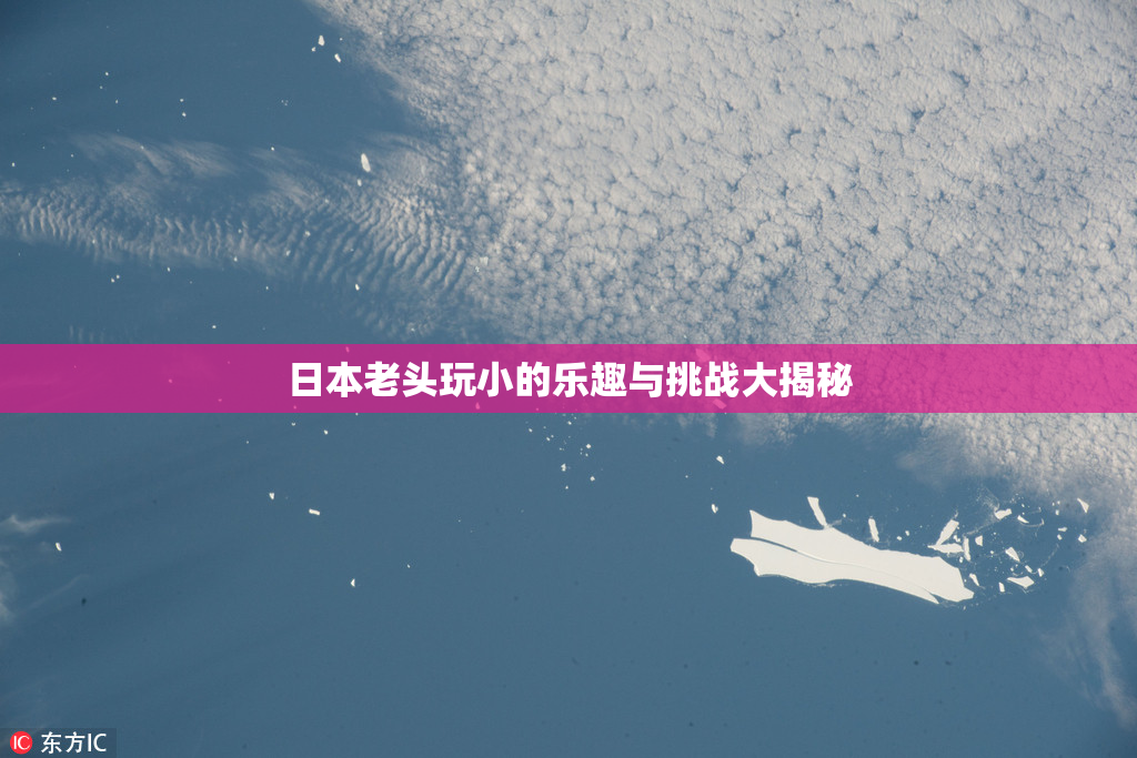 日本老头玩小的乐趣与挑战大揭秘