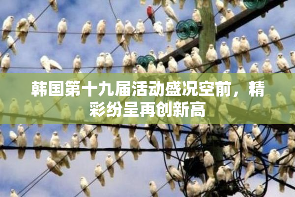 韩国第十九届活动盛况空前，精彩纷呈再创新高