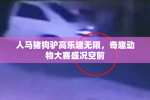 人马猪狗驴高乐趣无限，奇趣动物大赛盛况空前