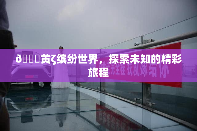 🔞黄ζ缤纷世界，探索未知的精彩旅程