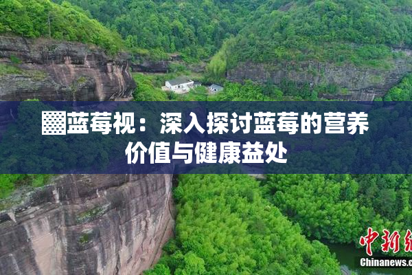 ▓蓝莓视：深入探讨蓝莓的营养价值与健康益处