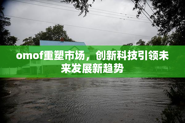 omof重塑市场，创新科技引领未来发展新趋势