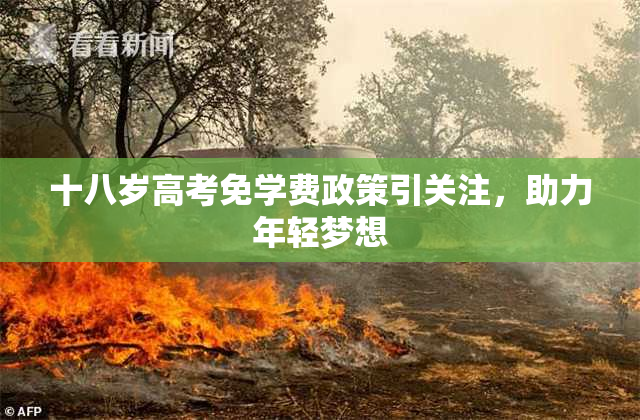十八岁高考免学费政策引关注，助力年轻梦想