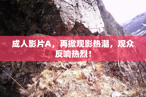 成人影片A，再掀观影热潮，观众反响热烈！