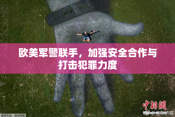 欧美军警联手，加强安全合作与打击犯罪力度