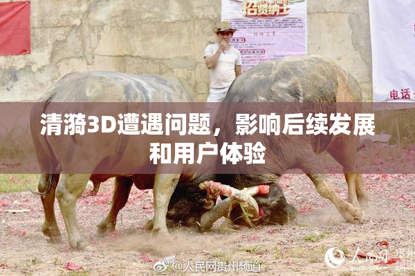 清漪3D遭遇问题，影响后续发展和用户体验