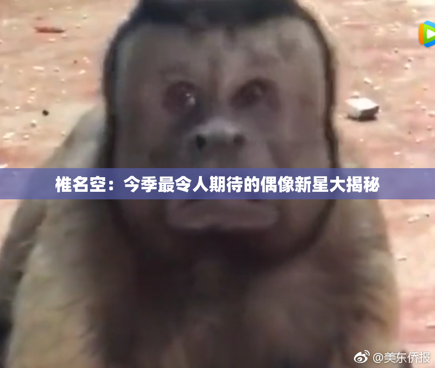 椎名空：今季最令人期待的偶像新星大揭秘