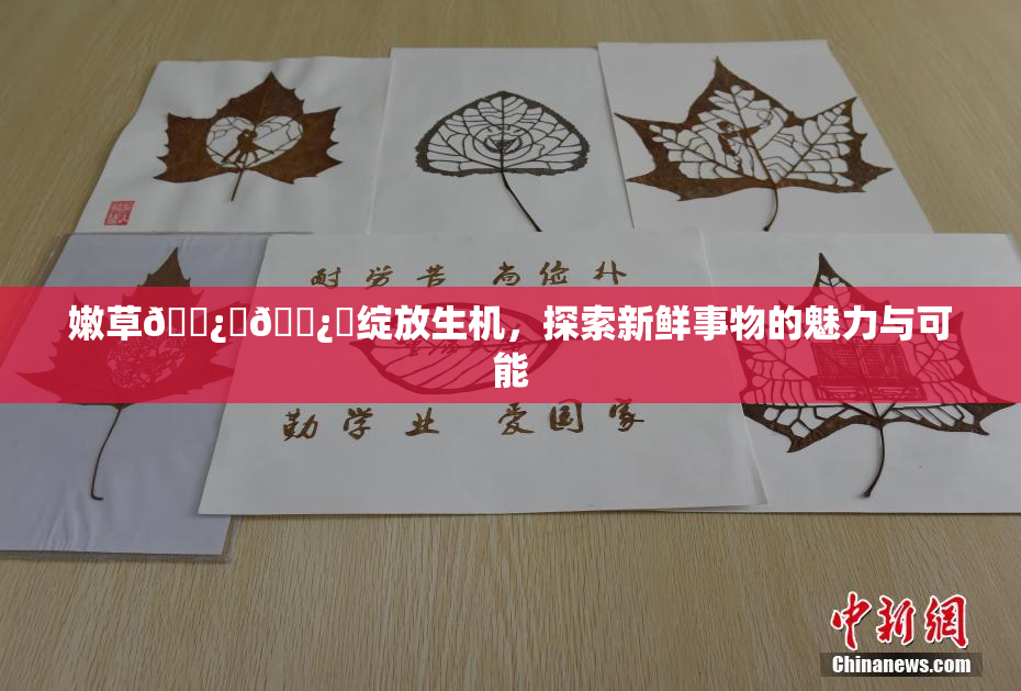 嫩草🌿‌🌿‌绽放生机，探索新鲜事物的魅力与可能