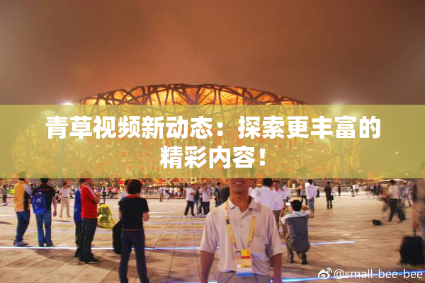 青草视频新动态：探索更丰富的精彩内容！