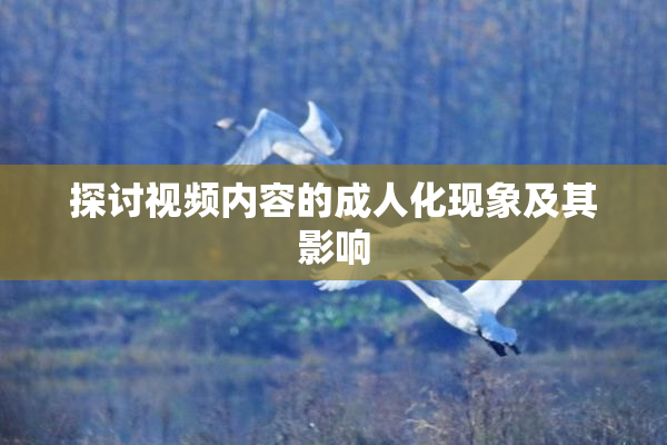 探讨视频内容的成人化现象及其影响