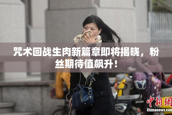 咒术回战生肉新篇章即将揭晓，粉丝期待值飙升！