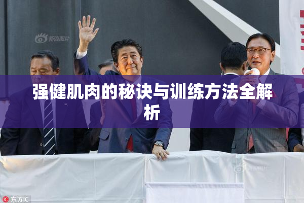 强健肌肉的秘诀与训练方法全解析