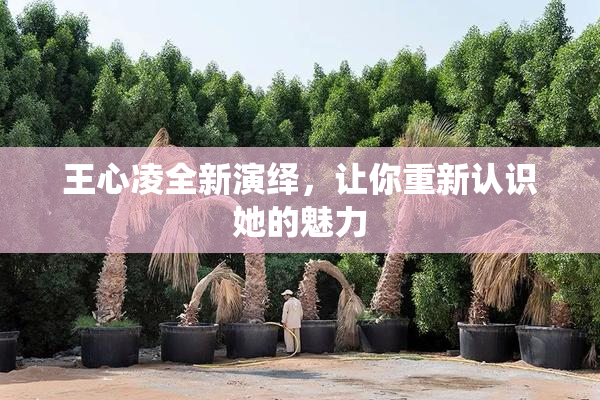 王心凌全新演绎，让你重新认识她的魅力