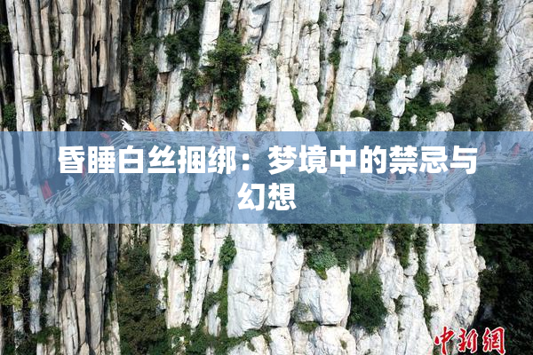 昏睡白丝捆绑：梦境中的禁忌与幻想