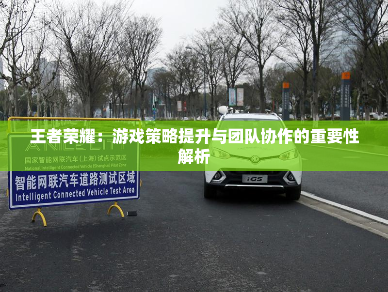 王者荣耀：游戏策略提升与团队协作的重要性解析