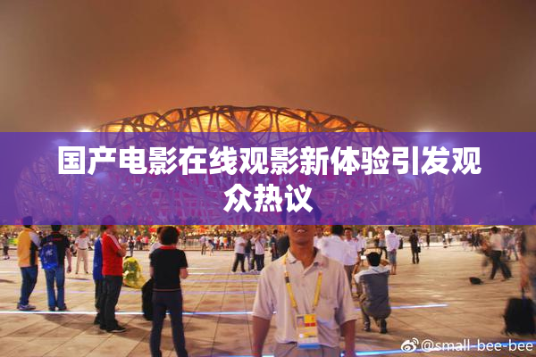 国产电影在线观影新体验引发观众热议