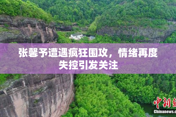 张馨予遭遇疯狂围攻，情绪再度失控引发关注