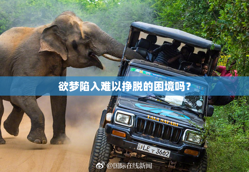 欲梦陷入难以挣脱的困境吗？