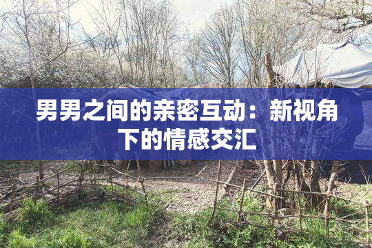 男男之间的亲密互动：新视角下的情感交汇