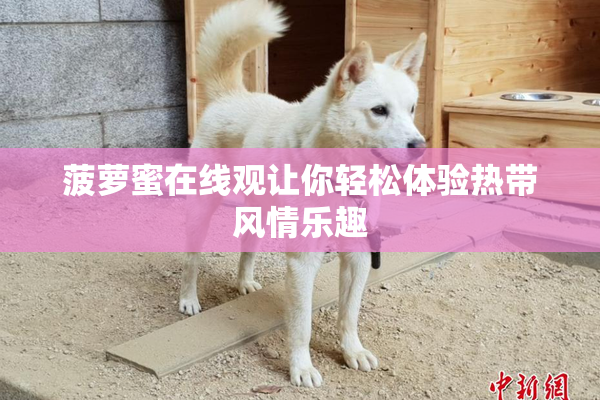 菠萝蜜在线观让你轻松体验热带风情乐趣
