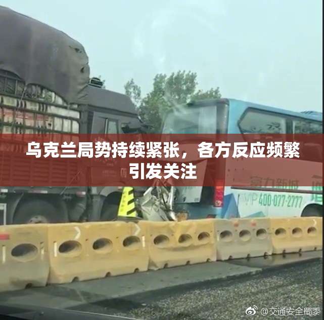 乌克兰局势持续紧张，各方反应频繁引发关注