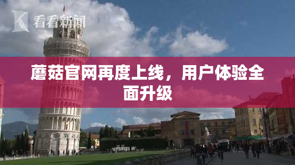 蘑菇官网再度上线，用户体验全面升级