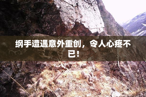 纲手遭遇意外重创，令人心疼不已！