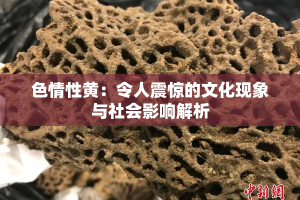 色情性黄：令人震惊的文化现象与社会影响解析