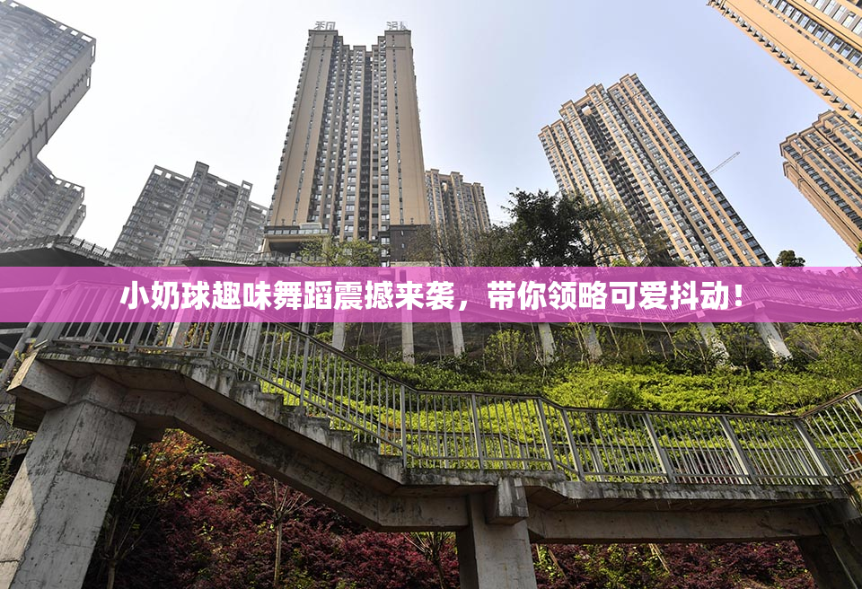 小奶球趣味舞蹈震撼来袭，带你领略可爱抖动！