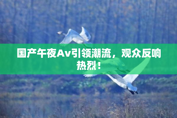 国产午夜Av引领潮流，观众反响热烈！