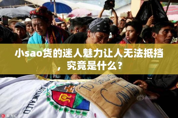 小sao货的迷人魅力让人无法抵挡，究竟是什么？