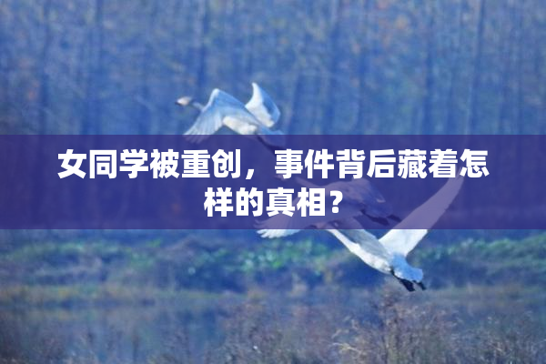 女同学被重创，事件背后藏着怎样的真相？