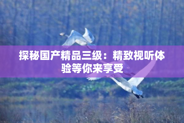 探秘国产精品三级：精致视听体验等你来享受