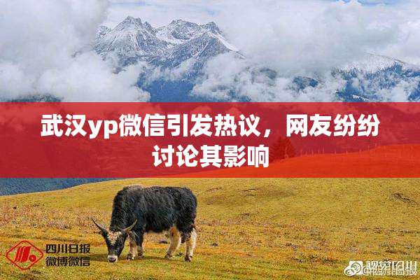 武汉yp微信引发热议，网友纷纷讨论其影响
