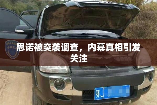 思诺被突袭调查，内幕真相引发关注