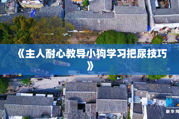 《主人耐心教导小狗学习把尿技巧》