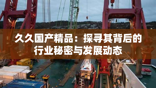 久久国产精品：探寻其背后的行业秘密与发展动态
