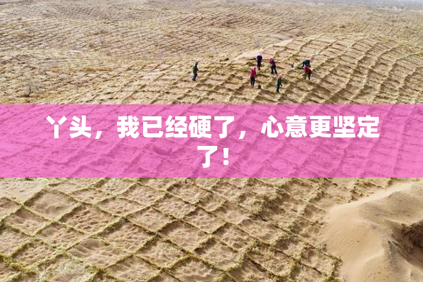 丫头，我已经硬了，心意更坚定了！