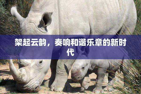架起云韵，奏响和谐乐章的新时代