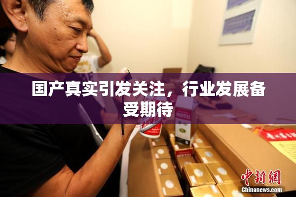 国产真实引发关注，行业发展备受期待
