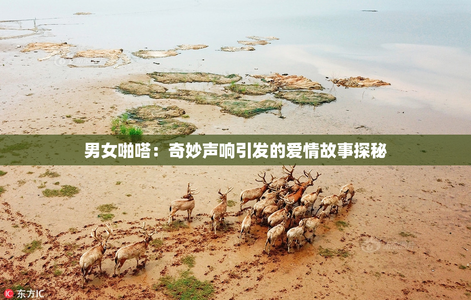 男女啪嗒：奇妙声响引发的爱情故事探秘