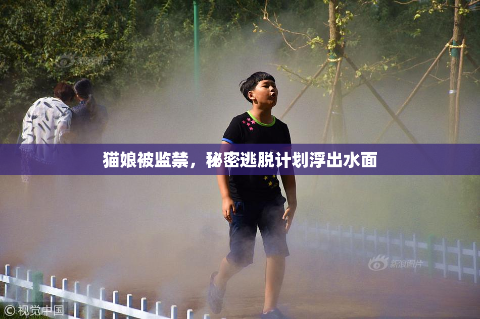 猫娘被监禁，秘密逃脱计划浮出水面