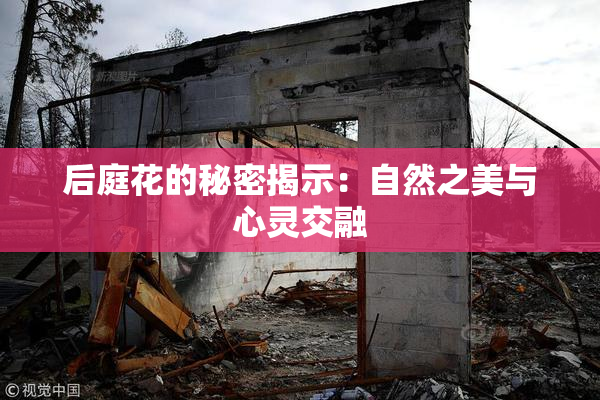 后庭花的秘密揭示：自然之美与心灵交融