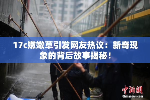 17c嫩嫩草引发网友热议：新奇现象的背后故事揭秘！