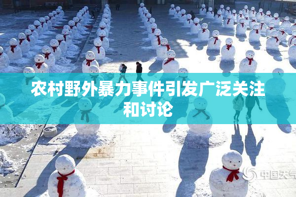 农村野外暴力事件引发广泛关注和讨论