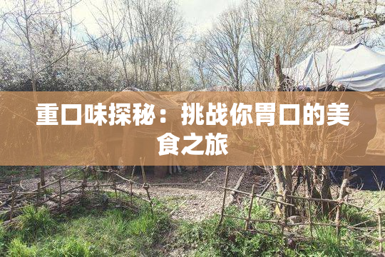 重口味探秘：挑战你胃口的美食之旅
