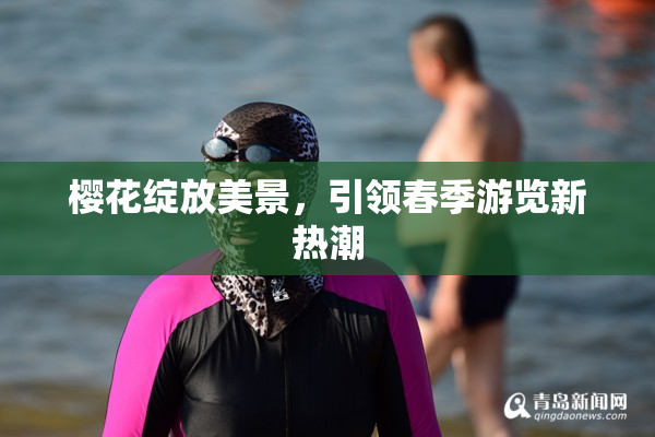 樱花绽放美景，引领春季游览新热潮